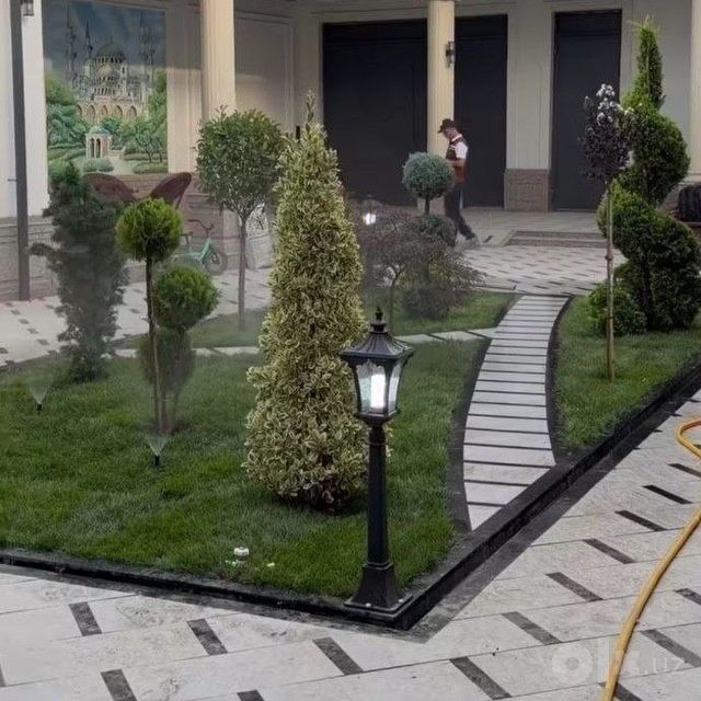 Gazon ekamiz kelishilgan narxda bogingizga kerakliy parvarish qilamiz