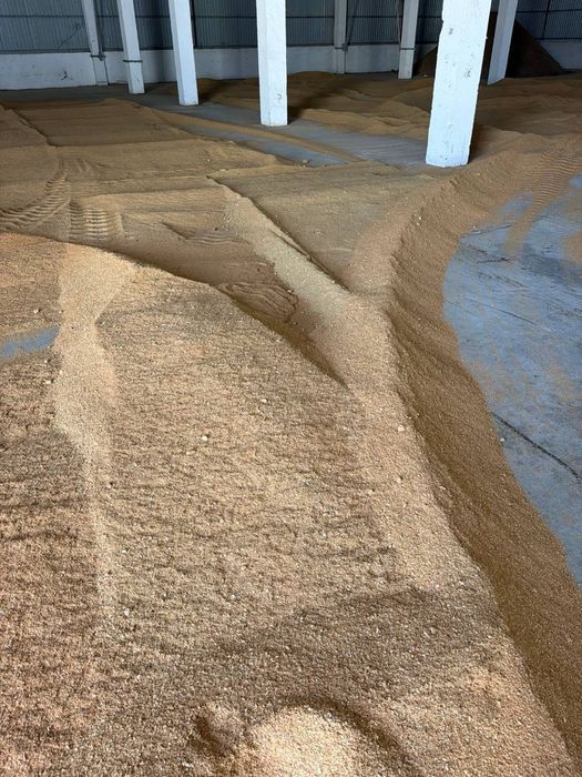 Соя шрот протеин 49 %