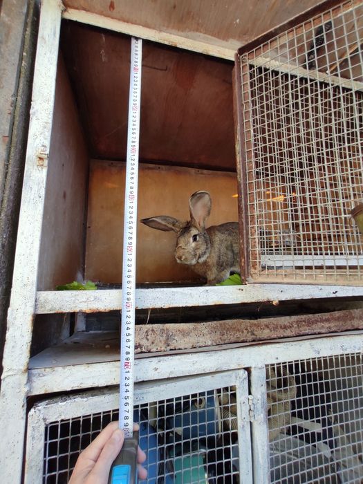 Клетка для животных -птиц .