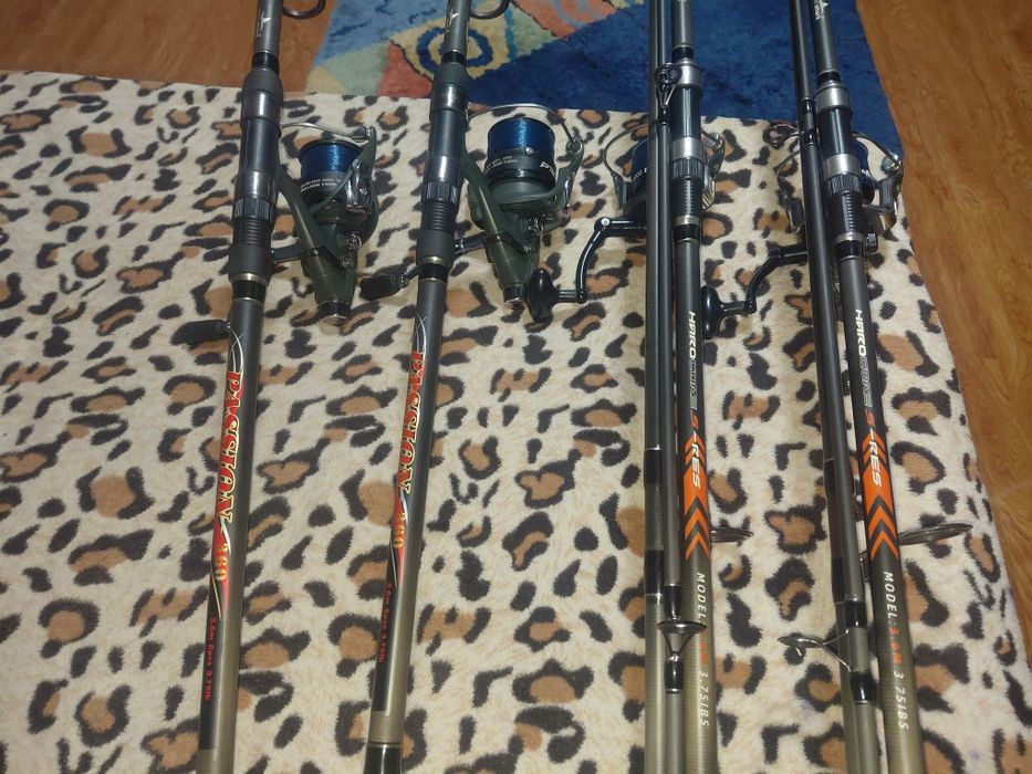 Lansete pescuit crap