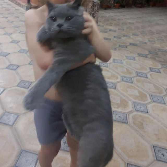 Вязка ( сотилмайди)