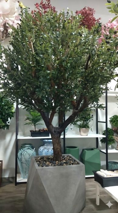 Maslini Mari frunze artificiale cu trunchi natural