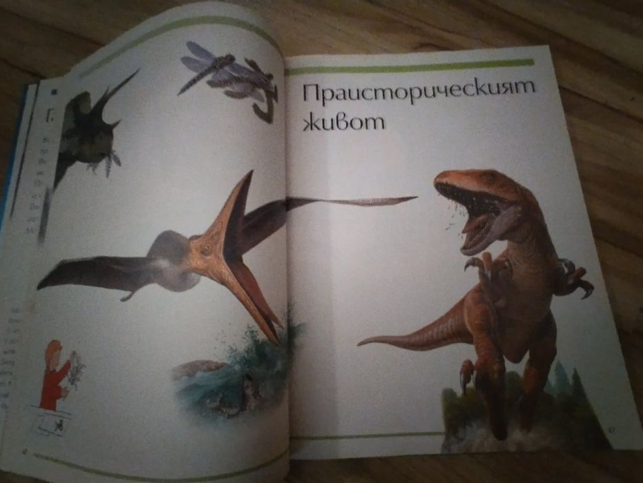 Голяма детска енциклопедия