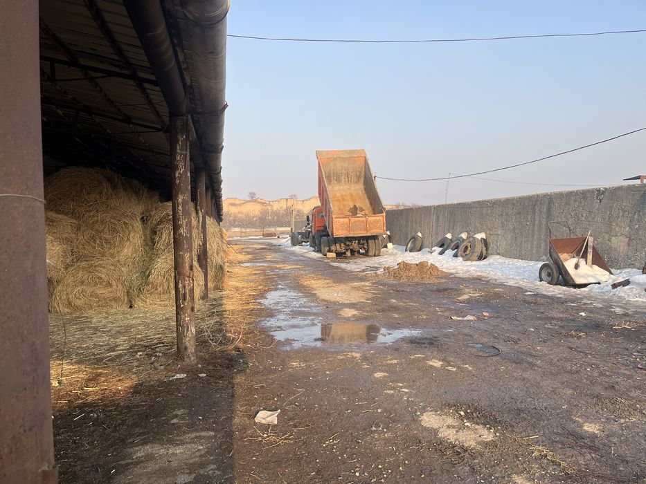 Помещение аренда