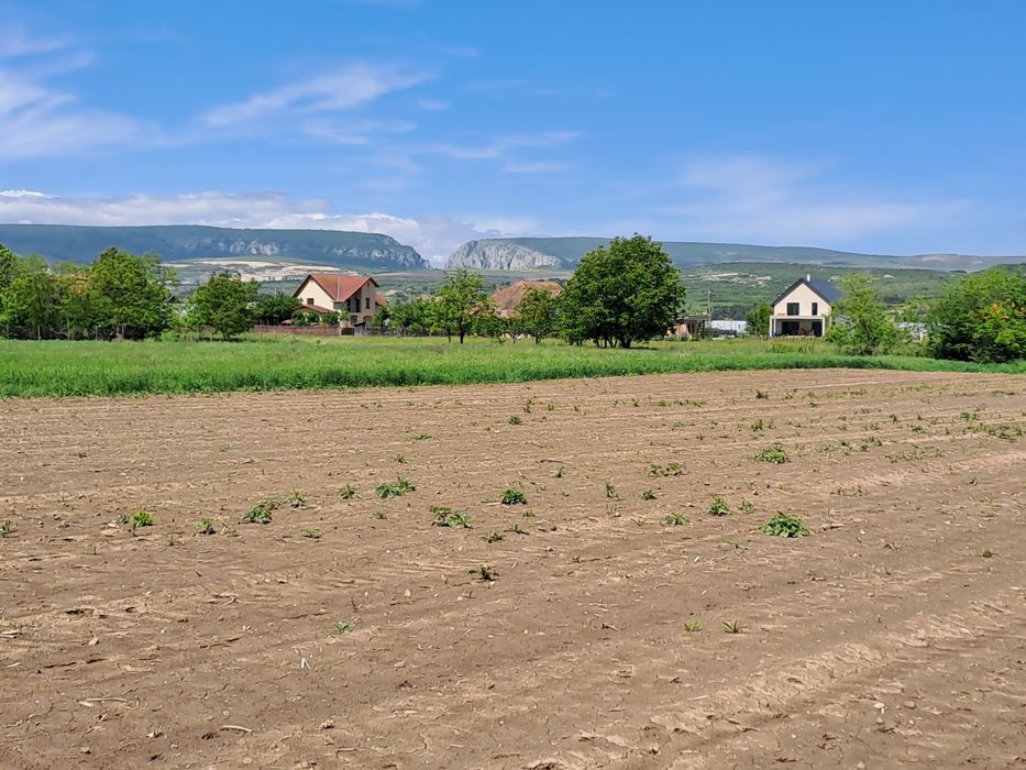 Vând Teren Intravilan Lux UNIK.