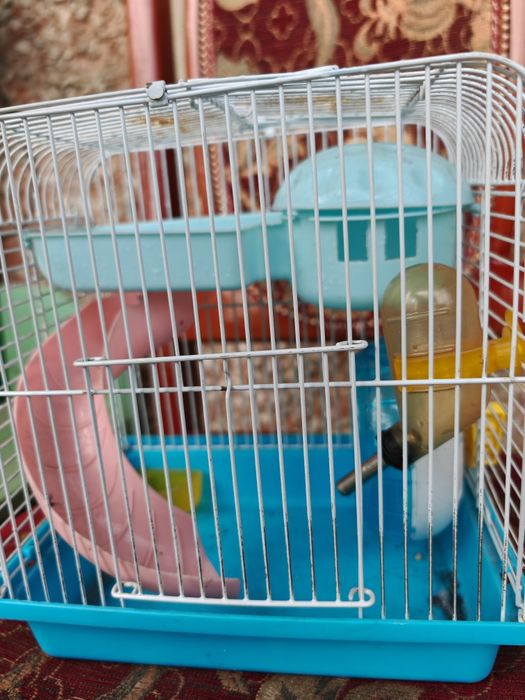 Клетка для Хомика