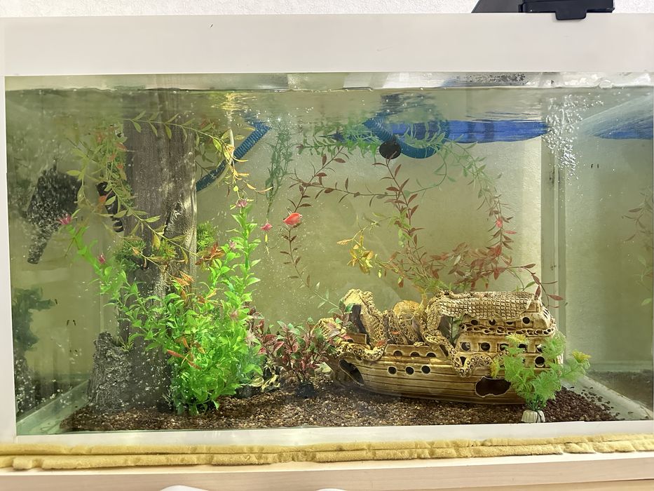 Аквариум 150 литров