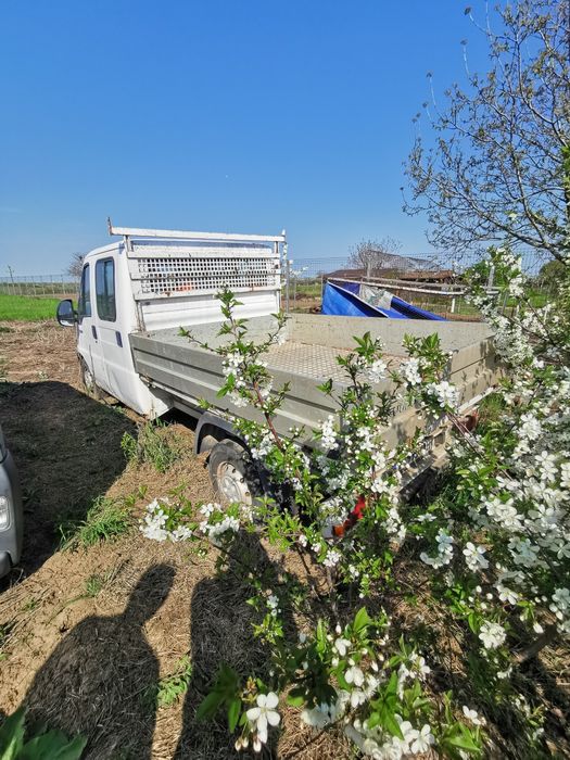 Peugeot boxer 2000