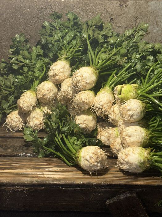 Telina Cu Frunza-brezoaia