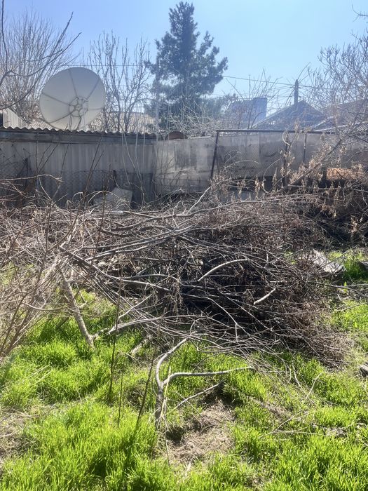 Заберите бесплатно