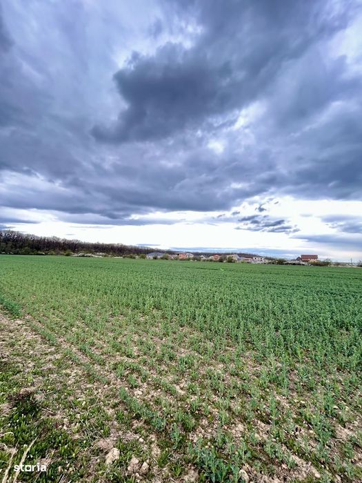 Teren premium 4000 mp – Cartier Grigorescu