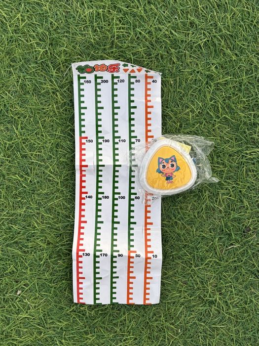 Развивающие игрушки, книги