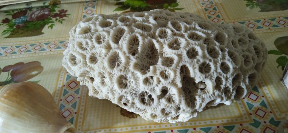 Аксессуар для аквариума цена за всё