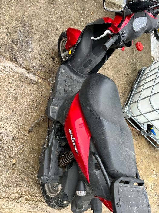 SYM 50 cm / 2400 LEI