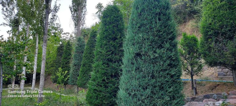 СРОЧНО! Продается СВОЯ дача