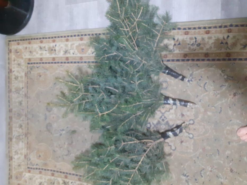 Банные веники (елка)