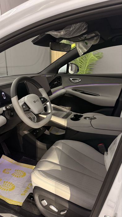 Byd selion 06 electir 605
