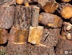 Продам дрова сосна