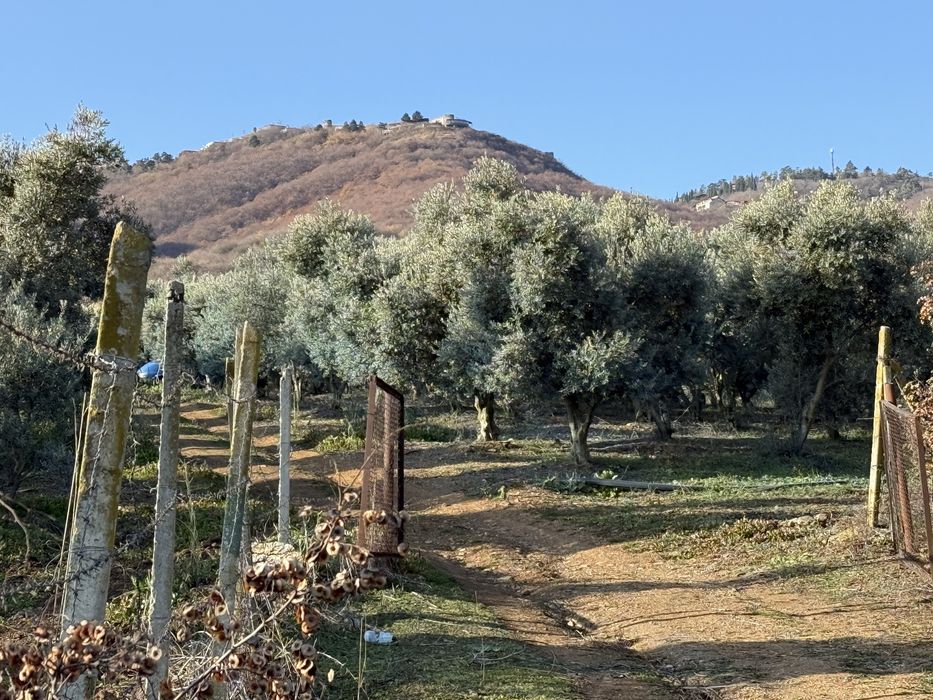 Ер сотилади 4 сотих зўр жойда