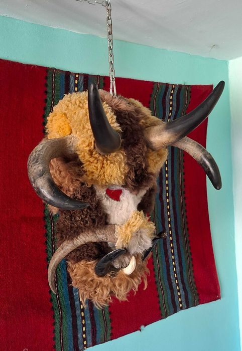 Сурвакарски, кукерски маски