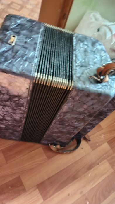 Баяны в Костанае