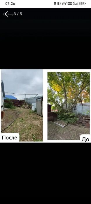 Спил дерево  агп арболистика