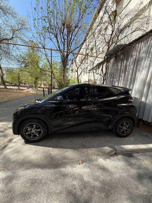 BYD Seagull сотилади