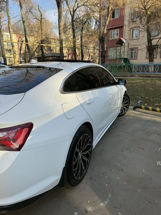 19 diska baloni bilan