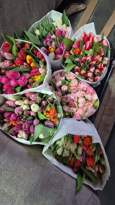 Тюльпаны Темиртау