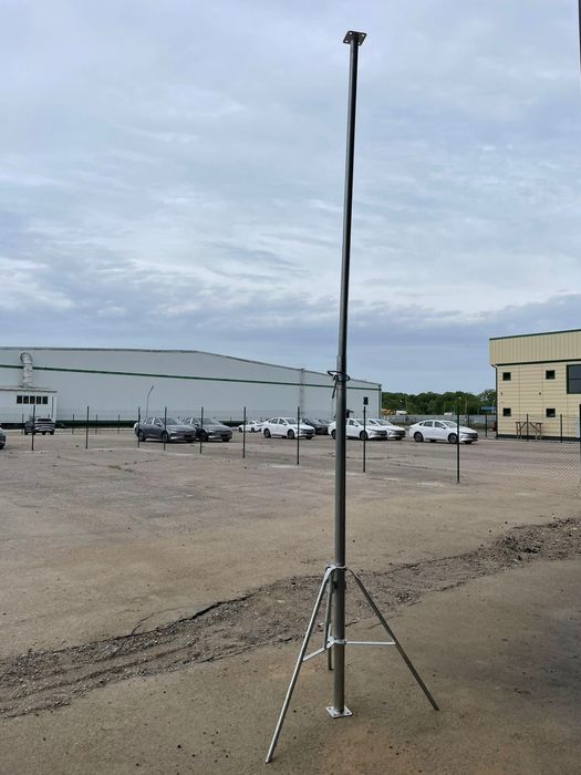 Струпцина стальной