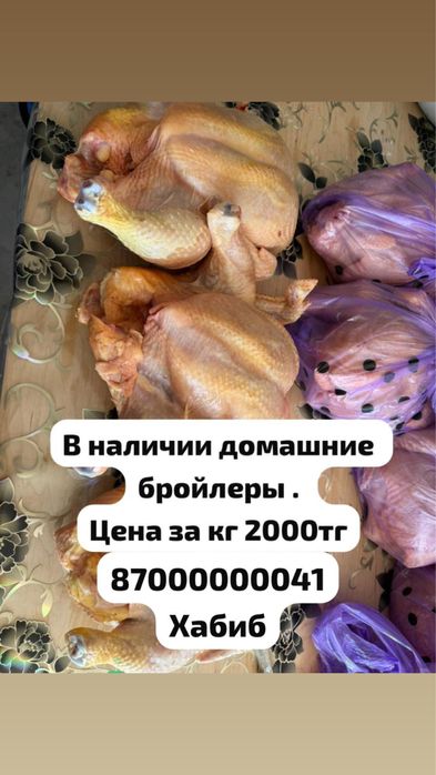 Куры домашние вкусные сочные