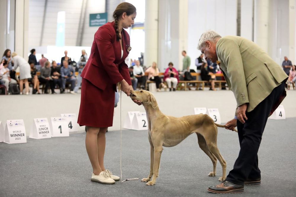 ҚҰМАЙ ТАЗЫ сатылады