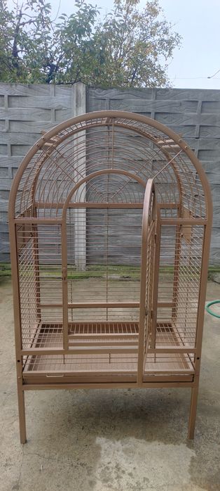 Colivie  papagali mari