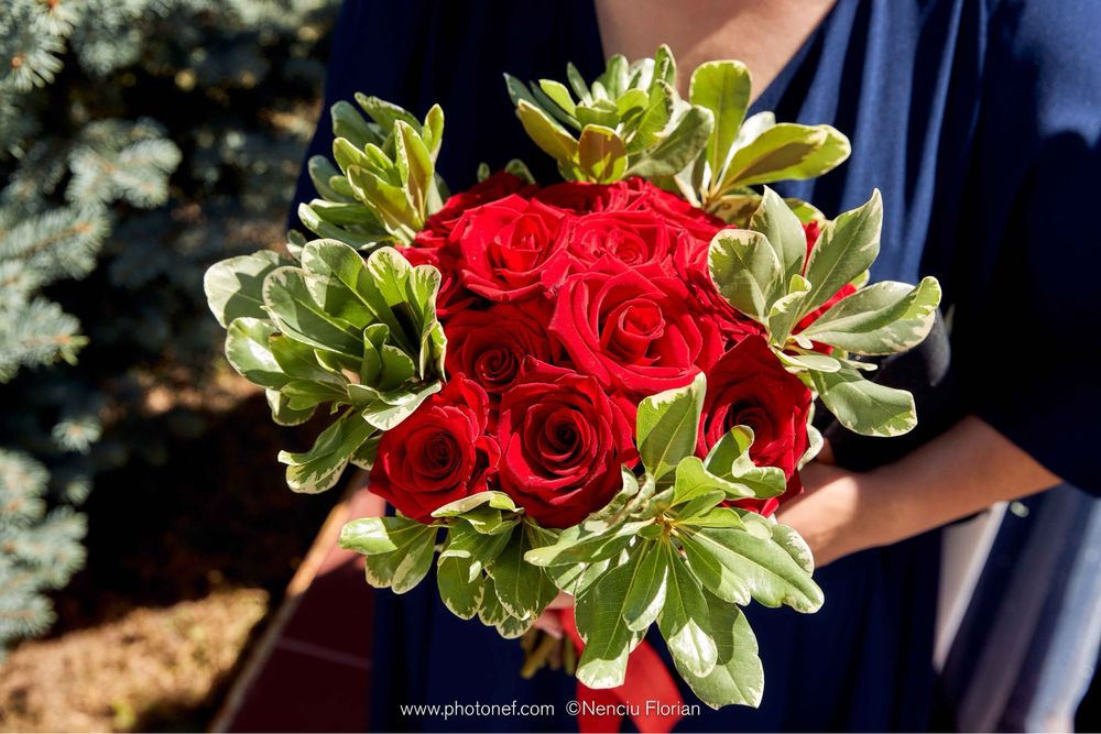 Organizare Evenimente