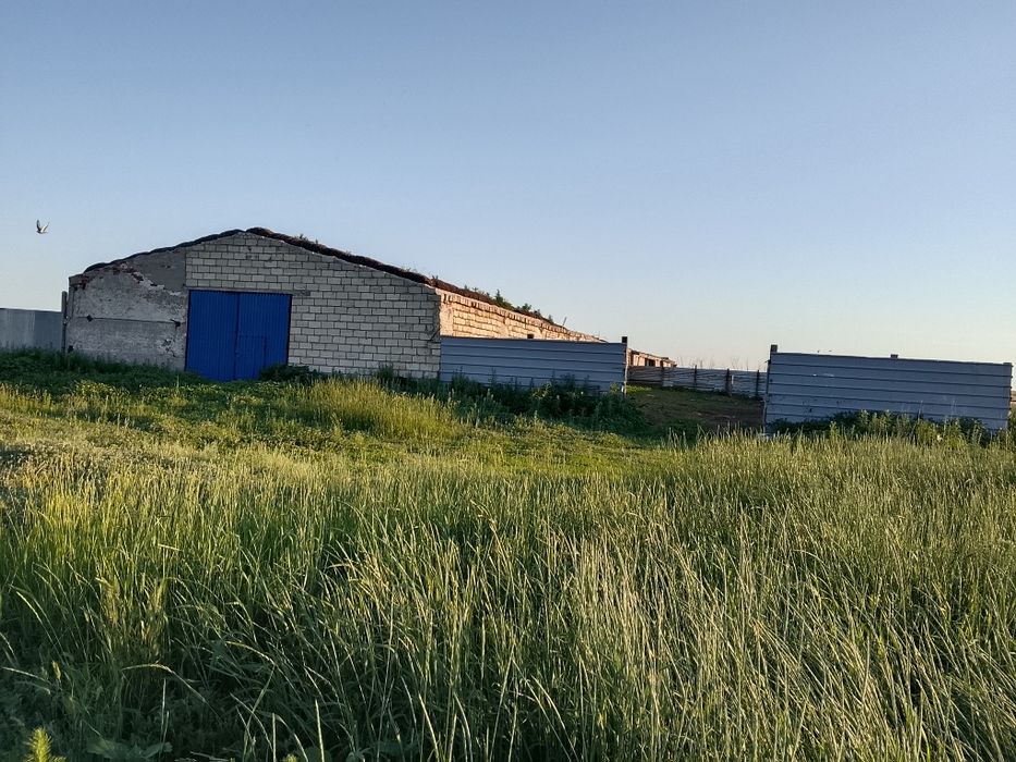 Продам крестьянское хозяйство