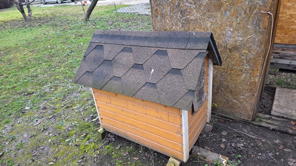 Casuta catel de talie medie