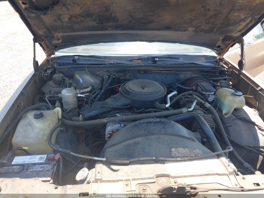 1981 Chevrolet EL CAMINO