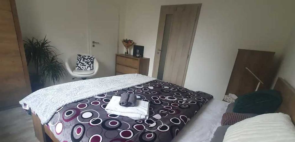 Дава се под наем Двустаен апартамент в Пловдив, Каменица 2 - 48 кв.м за 215 € - Снимка #1