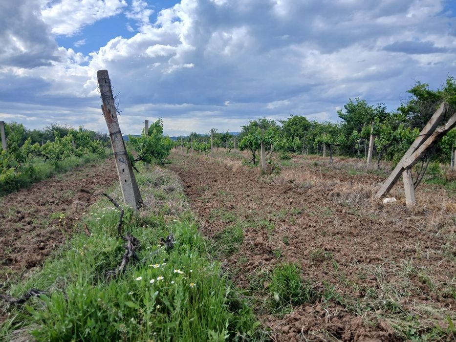 Продава се Земеделски имот в с. Карабунар, Област Пазарджик -  кв.м за 2 €/дка - Снимка #10