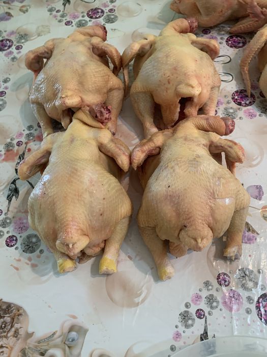 Тауқ еті, Куринны мясо
