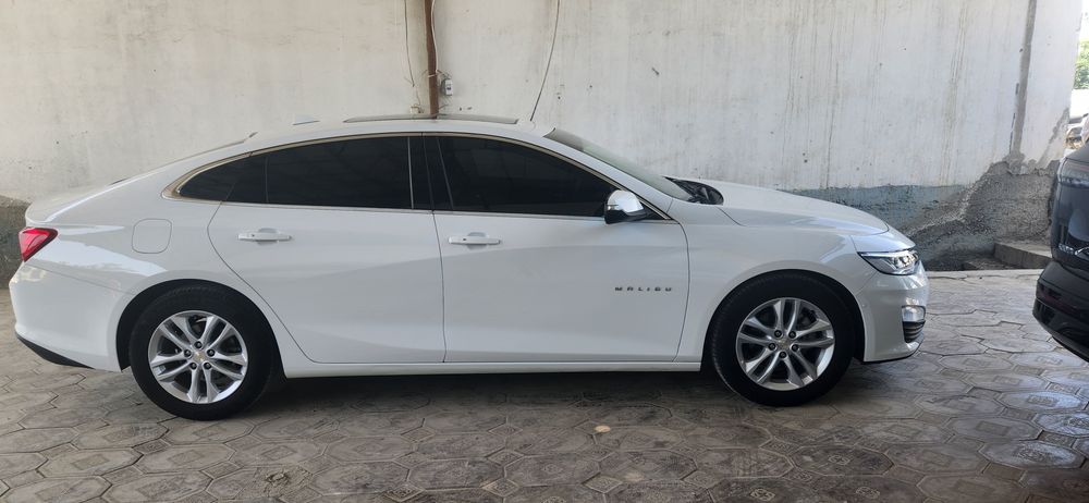 2019 yil 2.4 pirimer qilingan