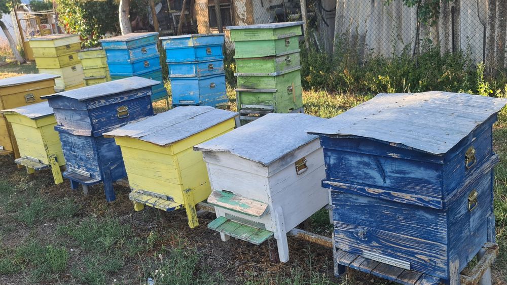 Кошери, сандъци за пчели