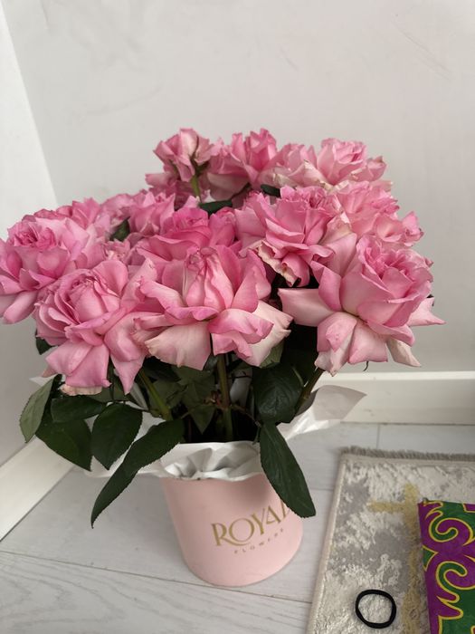 Гул кеше кешке келген