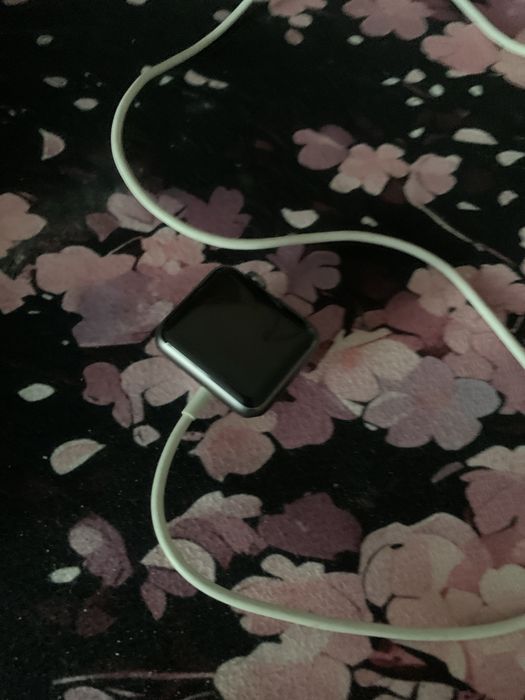 Часы Apple watch se