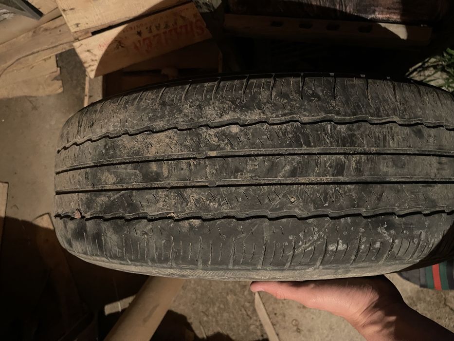 Жагдайы жаксы