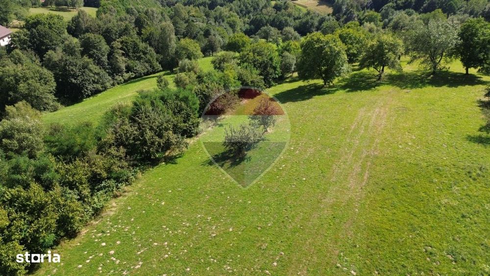 Teren 3,000mp Predelut / Strada Pe Tarina