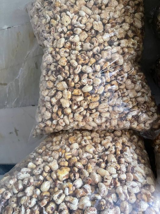 Tayor mini biznes pushka aparat