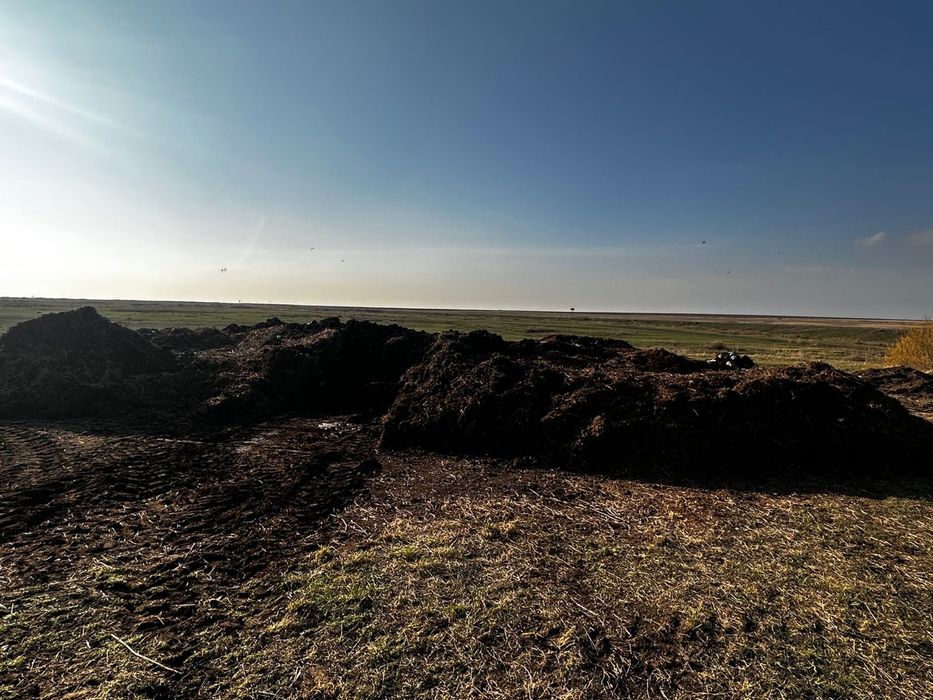 Чернозем, навоз бесплатно