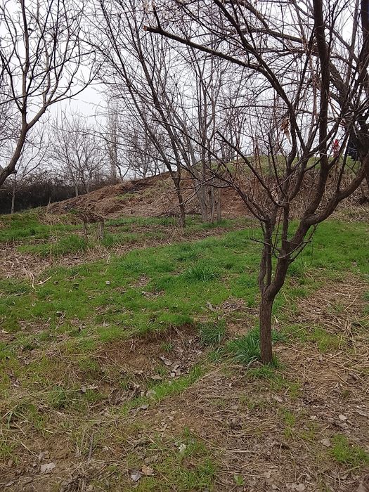 Yer sotiladi srochno