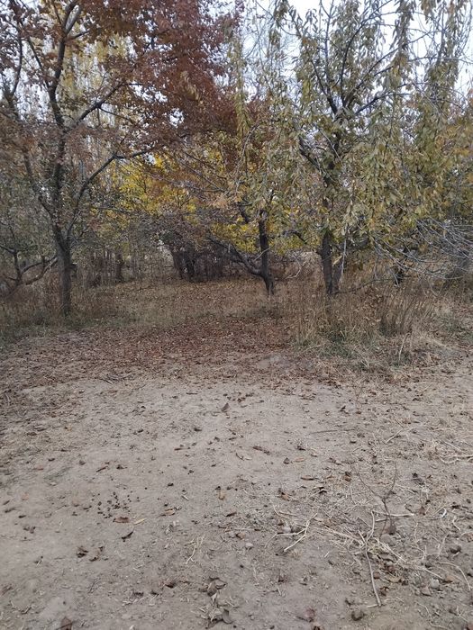 Срочно ер сотилади !